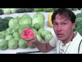 How to Pick a Sweet Watermelon Every Single Time - Top 8 Tips