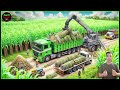 Sugarcane planting and harvesting - sugar processing factory | Raw Sugar Making and Refining process