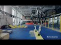 Tesla Bot vs Boston Dynamics Atlas! (Watch their reveals)