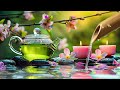 Beautiful Relaxing Music🌿Water Sound, Relaxing Music, Stress Relief, Meditation Music, Study & Yoga