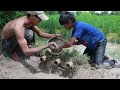 Build Fish Trapping System Make From Bamboo   New Technique Fishing Video