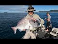Shallow reef Snapper! | Southern adventure pays off!