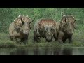 Prehistoric Planet: BEST Dinosaur Documentary?