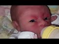 ASMR BABY Sounds Rain Pug Snores YOU need these Satisfying Sounds