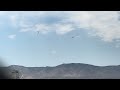 F-35Cs flying by