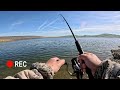 Striper Fishing Limited Out with  (ANCHOVIES) Epic Sesults! (Catch & Cook)