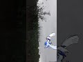just a normal day seeing lugia
