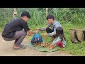 rescuing an abandoned baby in the forest to harvest turmeric to sell