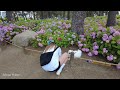 해운대 송림공원 걷기 | Walking in Songlim Park in Haeundae. Busan S Korea