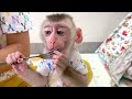 Mom gave Monkey Puka eye first aid because he ate onions