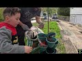 Planting Strawberries With my Son and BIG EARTHA!!!!