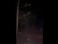 someone firing automatic weapons at night  at lake Tenkiller Oklahoma.