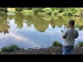 Fishing bluegill catch clean cook!