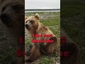Bear Deterrent: Smells Bears Don't Like #smellsbearsdon'tlike