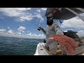 Crazy Feeding Frenzy Offshore Fishing! *Catch&Cook*