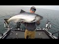 CRUSHING Limits of GIANT Lake Michigan Salmon!! | Manitowoc WI