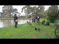 Kangaroo Attacks Tourist
