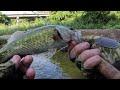 Fly fishing the Paluxy headwaters!