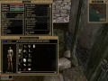 How to Morrowind: Character Creation