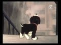 Отчаянный кот Васька (1985 год) мультфильм