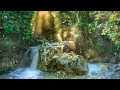 Relaxing Music with Nature Sounds | Stress Reduction and Inner Peace