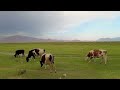 A Journey to the heart of the nomadic land in Iran - Chaharmahal and Bakhtiari