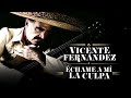 Vicente Fernández - Échame a Mí la Culpa (Letra/Lyrics)