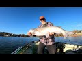 Looking for the Big Ones Above the Dam