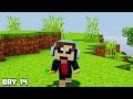 I Survived 100 Days as a YOUTUBER in Minecraft