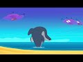 Zig & Sharko (NEW SEASON 2) - Beach Hero (S02-E02) Full episode in HD