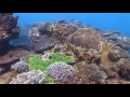 Symphony of life: Underwater world of Australia