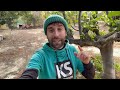 Una Poda Extrema en la Parcela!! 🪓 + Reproduce Rosales Gratis Vlog #17 | La Huerta de Ivan