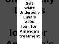Soft White Underbelly Lima took out 250K loan for Amanda's treatment
