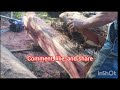 Cutting Juniper Slab for Bench