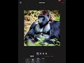 AI generated gorilla tag