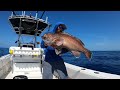 My Bottom Dollar | Commercial Snowy Grouper Fishing | How To