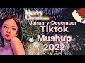 tiktok mushups 2022 January to December PHILIPPINE 🇵🇭(dance craze 💃 🕺) |wintersummer mushup