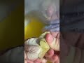 Cleaning a Chicken GIZZARD for my dog