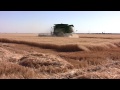 Kansas Wheat Harvest 2011 Seward County