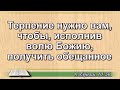 Чтение Библии на 30 Июля: Псалом 29, 1 Послание Фессалоникийцам 1, Книга Пророка Исаии 11, 12