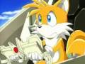 Tails And Cosmo White Horse