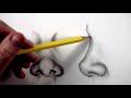 How to Draw Different Nose Shapes