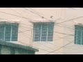 Heavy Rain in kolkata  afternoon#weather #viral#rainyday #monsoon #weather #trending #shorts#yt