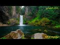 New Song | Laa-ilaaha-illallaah | لا اله الا الله | نشيد للمنشد عارف المليباري | Arif Al Malaibari