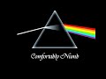 Comfortably numb solo cover | Pink floyd