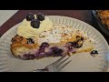 Blueberry Yoghurt Cake - No cheese Cheesecake