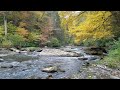 River Summersville Wv Video 1