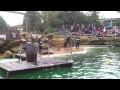 Full Sea Lion Display @ Chessington World of Adventures in HD