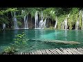 Calming music for nerves 🌿 healing music for the heart and blood vessels, relaxation, music for the