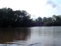 Crocodile in Mary River, Northern Territory, Australia